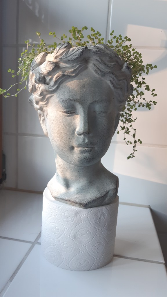 Bubikopf in Steinkopf.