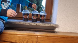 Vermehrung von Zimmerpflanzen in Naschtomaten-Becher mit Deckel