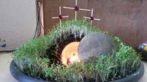 Dieses Bild hat ein leeres alt-Attribut; sein Dateiname ist 20190421_113940.jpg.